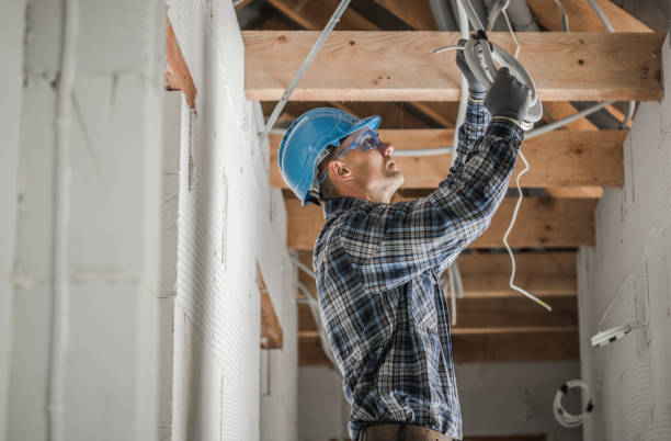 Best Licensed Electrician  in Toluca, IL